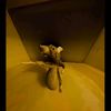 big_back_rat1