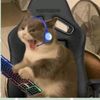 m1n1_d1ddy
