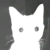 len_ka8389