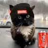 user441153861865