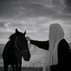 ghlalis2
