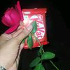 sk.tisha1