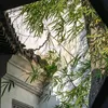 nguyenca198