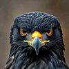 ayaz_khoso_07