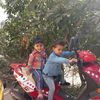 mohand.haddoum