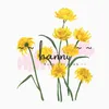 hanni.exinhsayhi