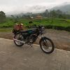 andri_kingers