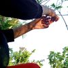 lyricsong703