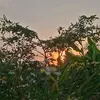 boacc_123