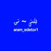 aram_edetor1