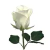 mohammad.mohammad360