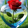 user93140529746774