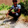 user96291105219260