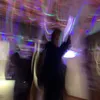 elis_ar06