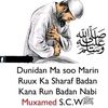 user9438341311435