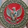 anak_desa.691