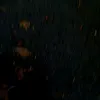 brndlkd