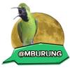 MBURUNG