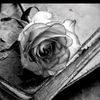 user52008366782390