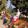 user70013528103066