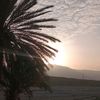 masoomjan682