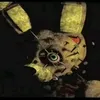ysackkjjr