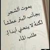 ahmed.qandeel3