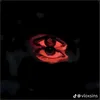 roosey_v