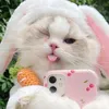 meowthichreview
