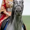 tawbaelhamdan