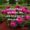 mohammad.rakib.41