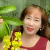 hanh.nguyen6465