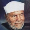 eslamabohassan2