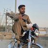 m.hammad.saleem055