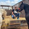 سوق المواشي  العقار الفلاحي