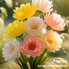 md arif