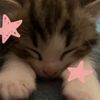 ofthemoo_n