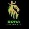 Bora curiosos 2