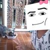 user3093374141152