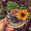 wafaa.alabbasi0