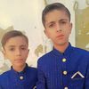 alihamzamaher484
