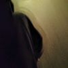 whos.arss_01