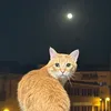 mauri_.s