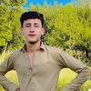 hamzkhan1160