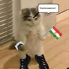 dbkurdi92