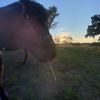 toshia.bielska