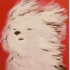 mnotji
