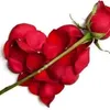 mhamad.najm2