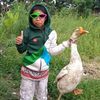 kayu_bukhrak