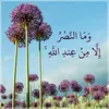 fatimaboukaddid1